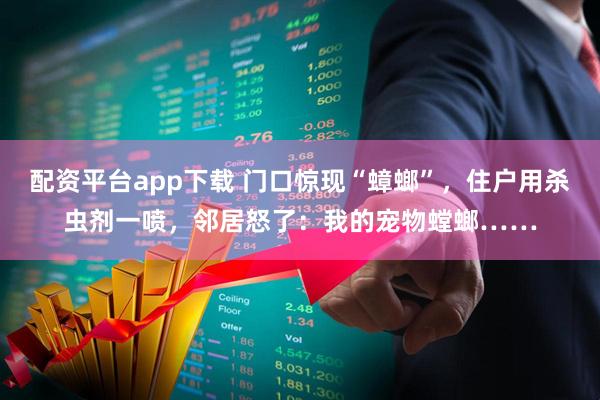 配资平台app下载 门口惊现“蟑螂”，住户用杀虫剂一喷，邻居怒了：我的宠物螳螂……