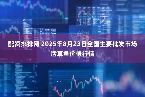配资排排网 2025年8月23日全国主要批发市场活草鱼价格行情